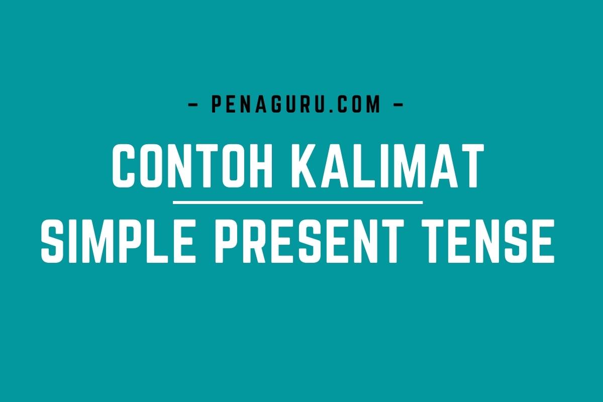 25 Contoh Kalimat Simple Present Tense Beserta Artinya